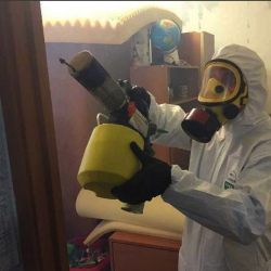 Уничтожение клопов в квартире. Измайловская